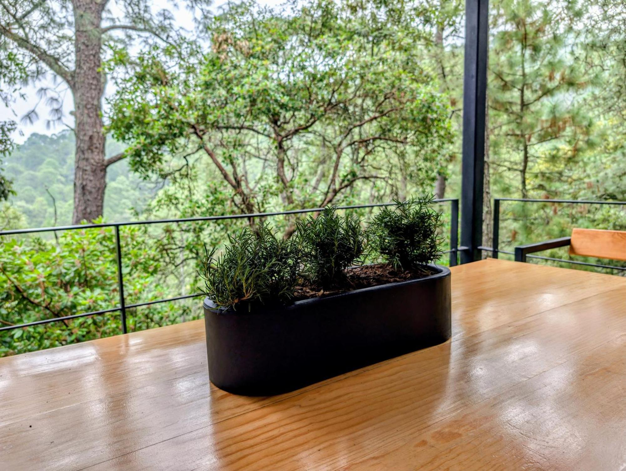 Cabana La Finca Mazamitla Εξωτερικό φωτογραφία