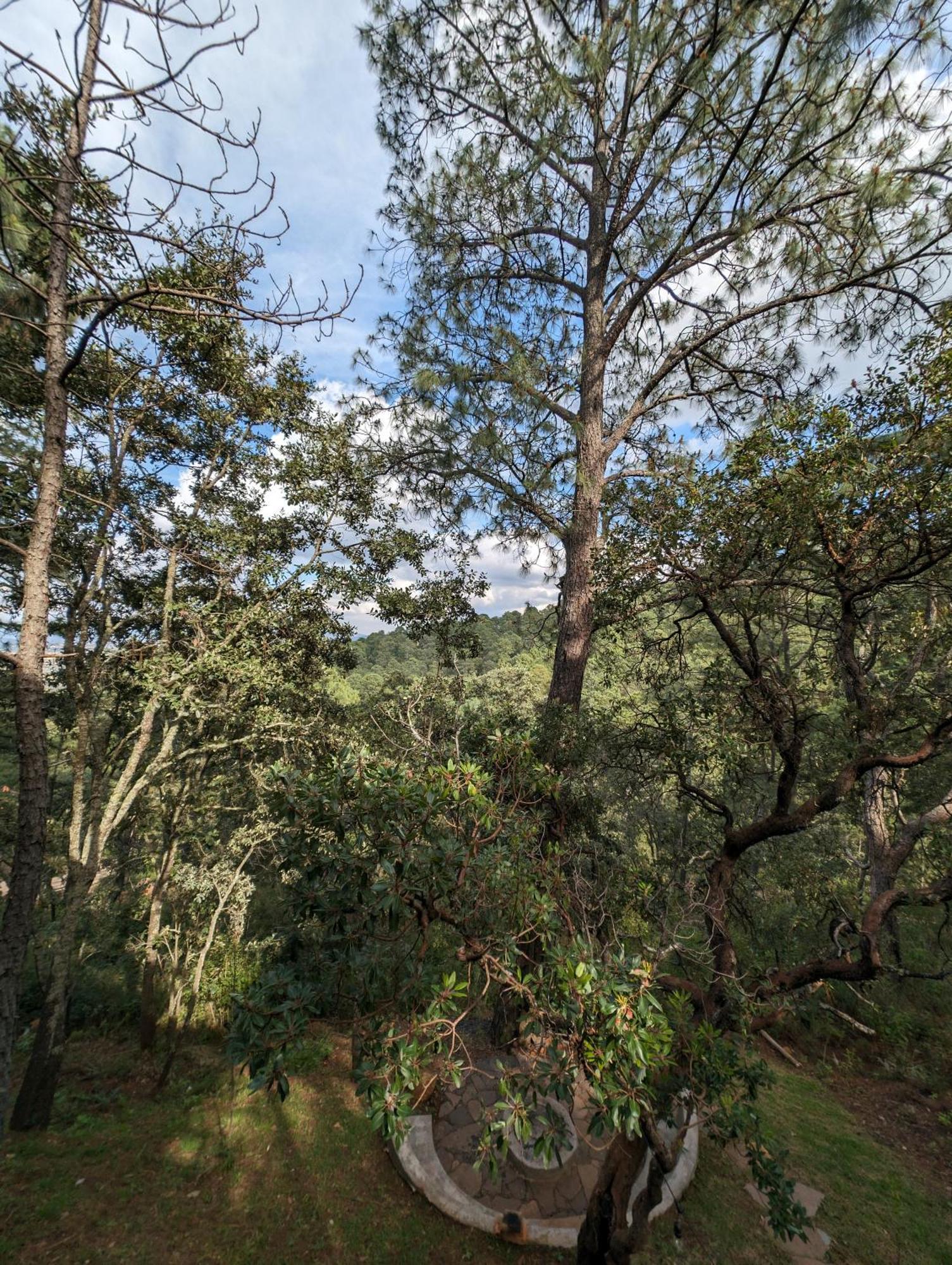 Cabana La Finca Mazamitla Εξωτερικό φωτογραφία